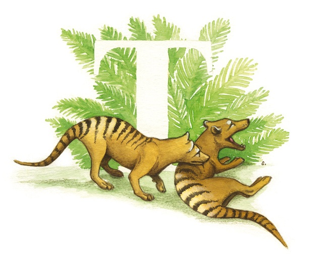 Lost Thylacine