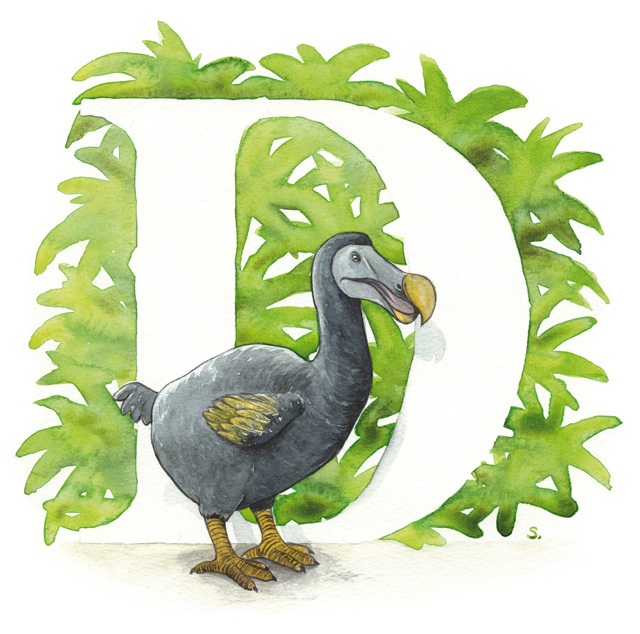 Lost Dodo