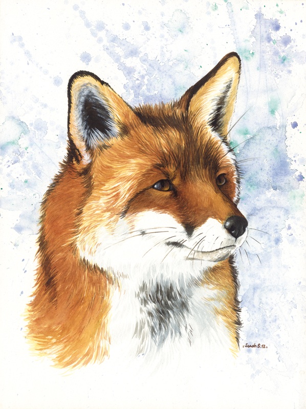 Fox I