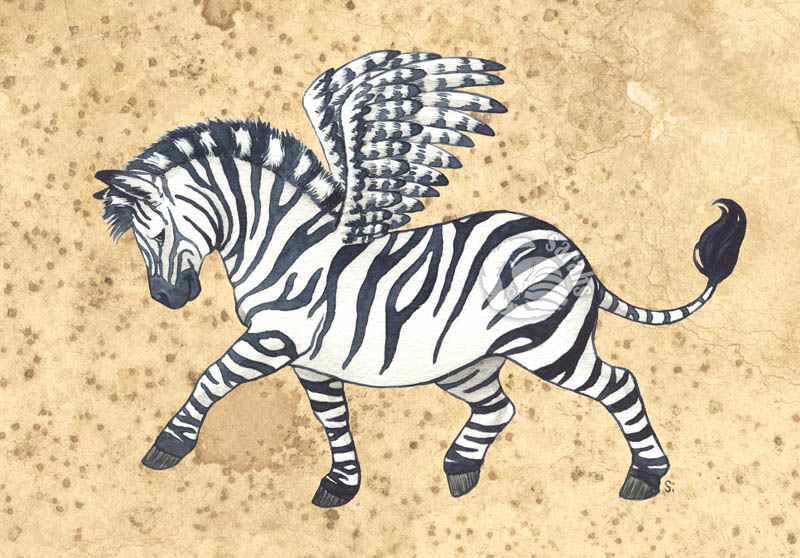 Little winged Zebra