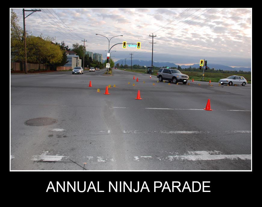 Ninja parade by TheMuffalow on DeviantArt