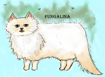 Fungalina