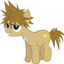 Kingdom Hearts Sora Pony