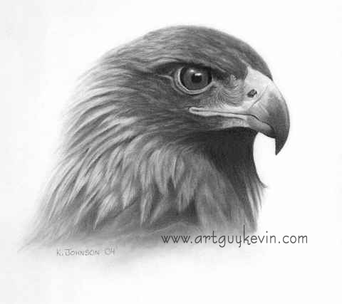 Golden Eagle Portrait