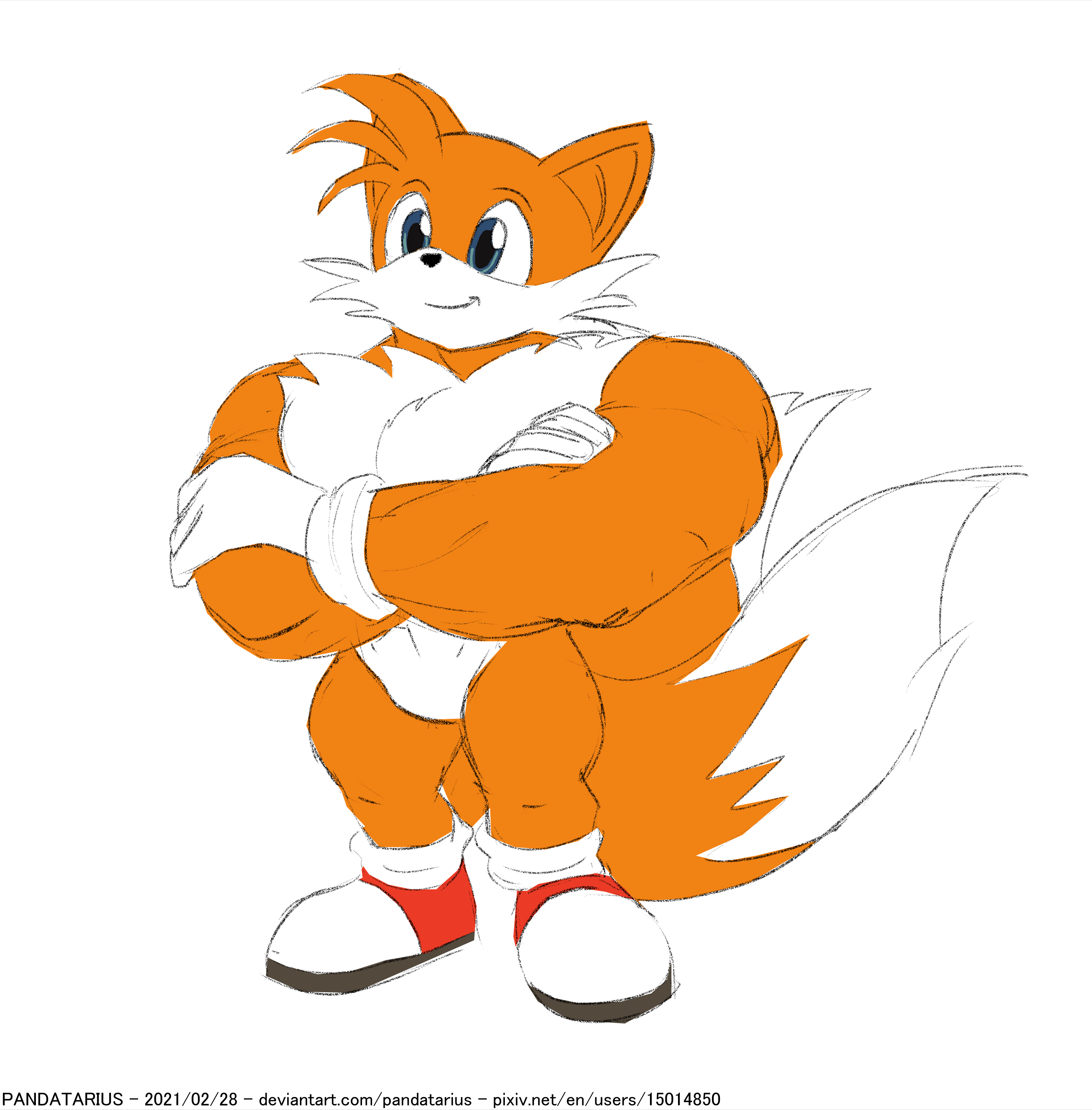 Deviantart Tails Boxing Tails by Pandatarius on DeviantArt
