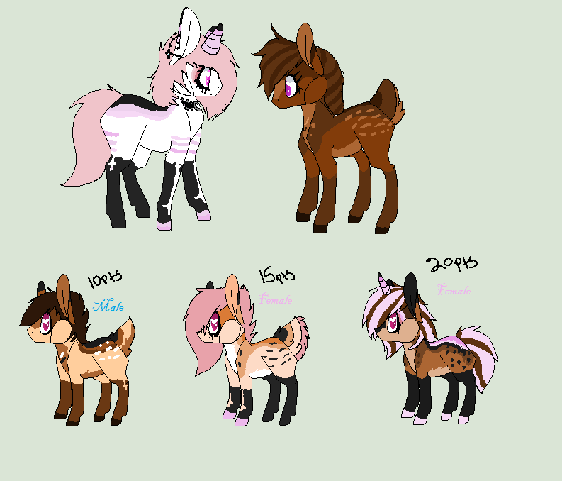 Baby pony Adopts closed