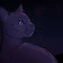 Look deep into the stars, Dovewing.
