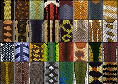 Snakes Pattern