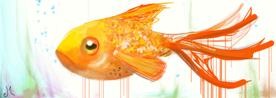 Deviantart 2007 Goldfish Goldfish by jmarme on DeviantArt