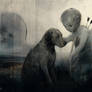 They are part of our lives (series)