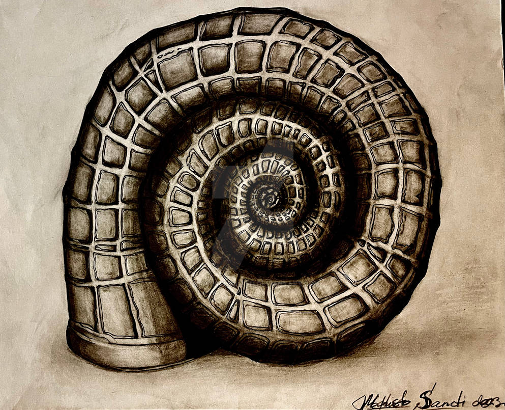 Shell...we...? by MephistoSancti on DeviantArt