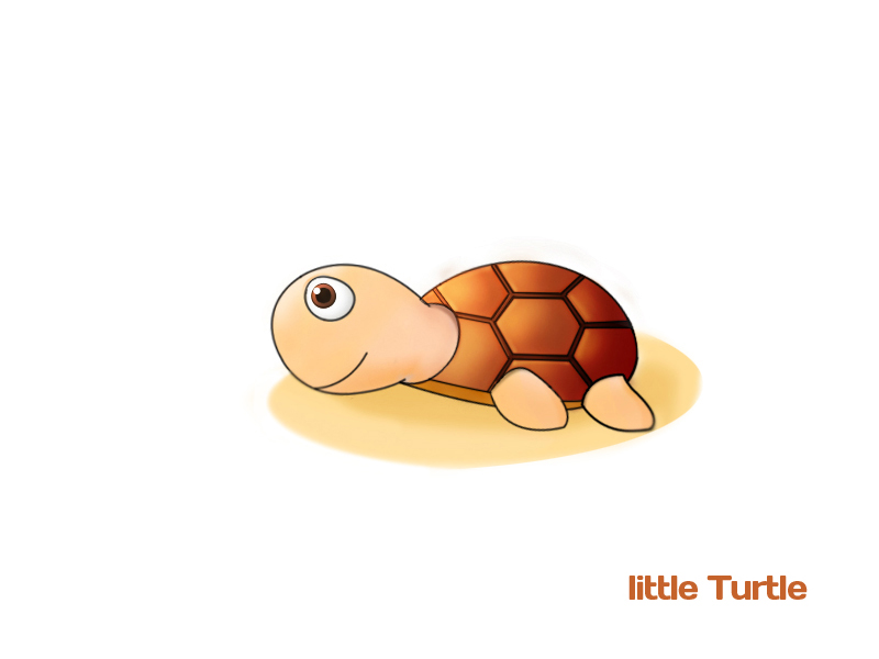 a little turtle