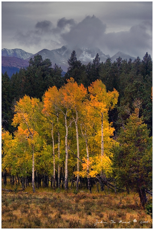 A Stormy Autumn