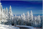 An Enchanted Winter by kkart
