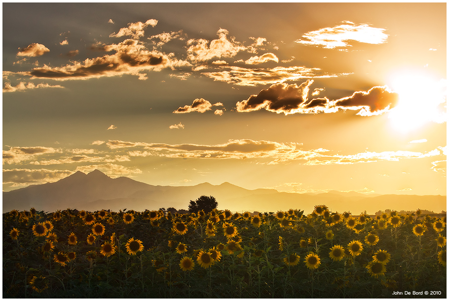 Sunset Of The Angels