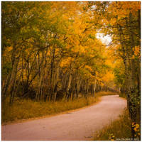 Autumn's Rural Route