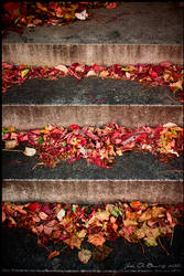 The Steps Of Autumn
