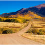 Country Dirt Roads Of Autumn