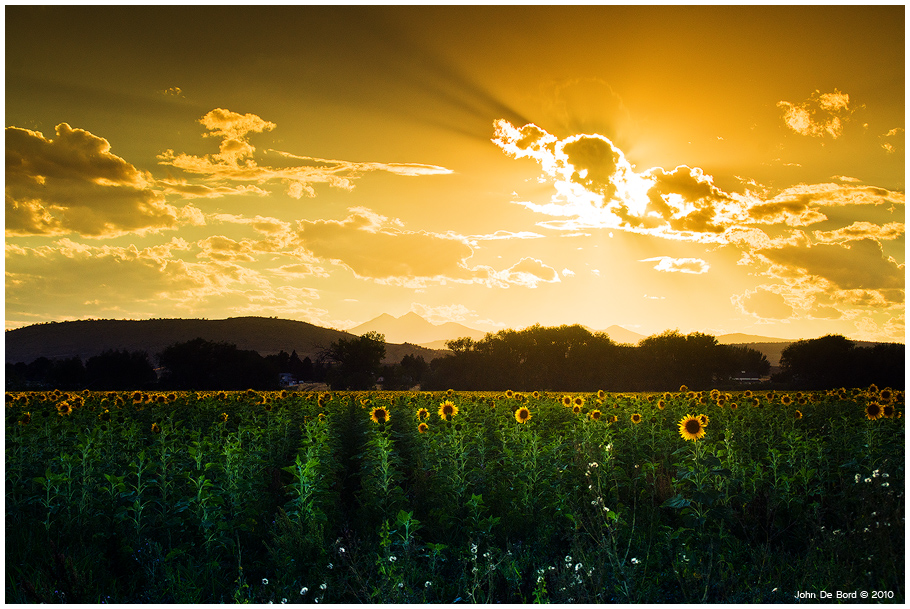 Longmont Summer Skies 2