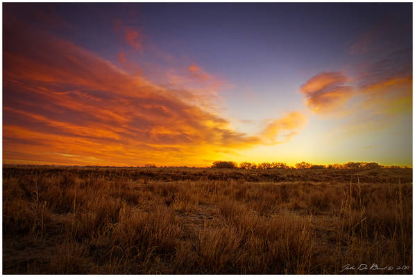 Sunrise Of The Plains