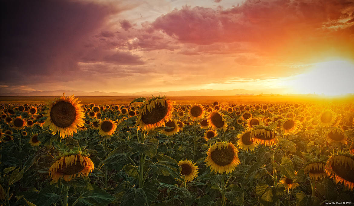 The Colors Of A Late Evening by kkart
