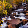 Fall On The River