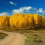 Fall Rural Roads