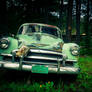 Parked For The Last Time