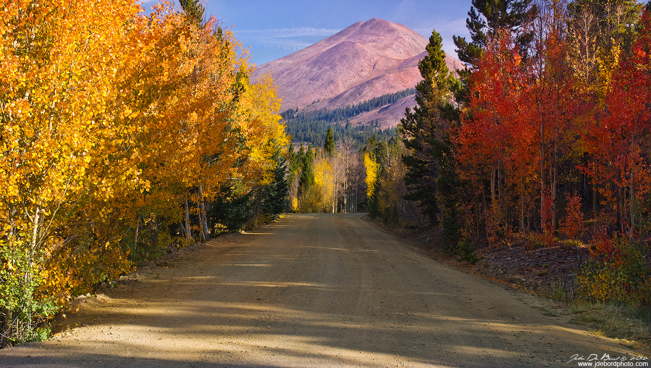 Country Road Of Color