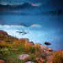 The Foggy Landscape Of An Autumn Morning