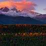 Mountain Sunrises Of Autumn