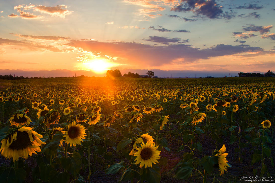 Heavens Light by kkart Heavens Light by kkart
