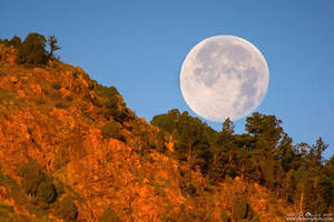 Honey Moonset Over Red Rocks