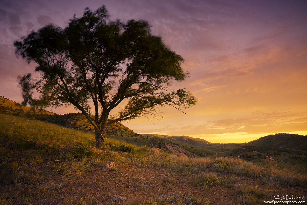 Sunrise At One Tree Hill