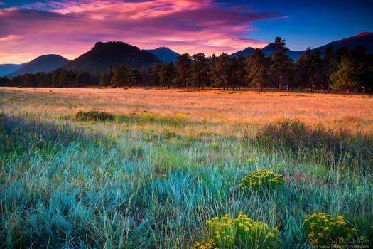 First Rays Of Sunlight