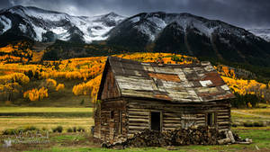 The Cabin In Crested Butte