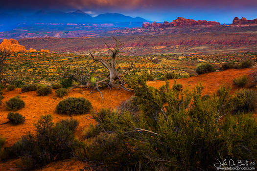 Sunset In Arches