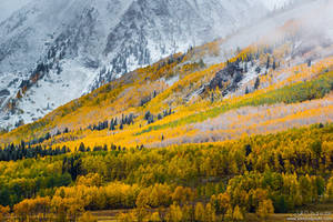 A Fall Hillside