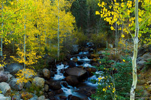 A Quiet Place In Autumn