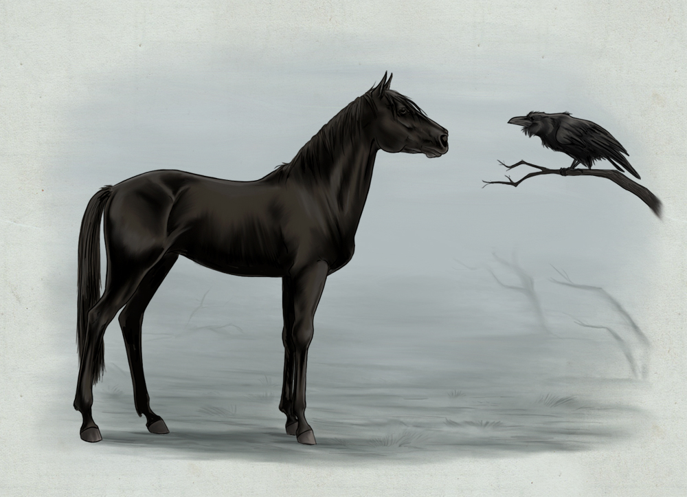 The horse and the crow