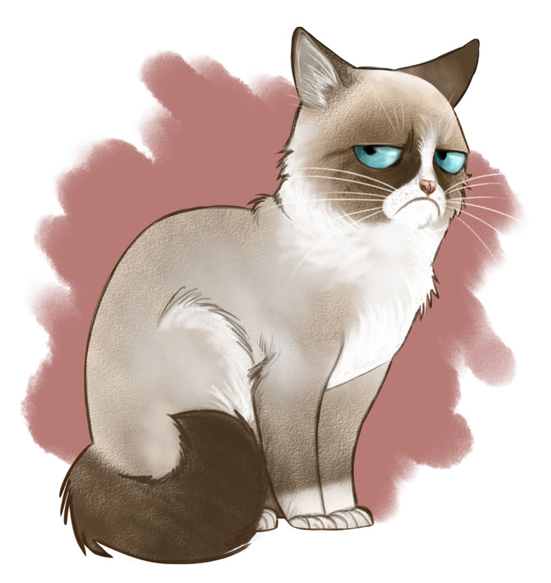 How to Draw the Grumpy Cat, Tard the Grumpy Cat, Step by Step