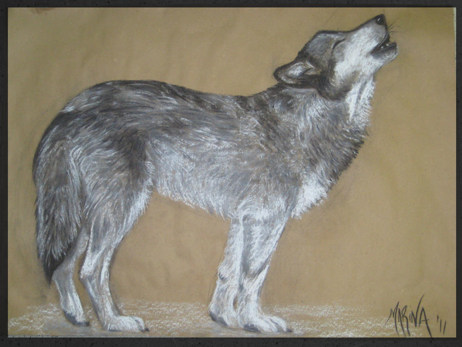 Lobo