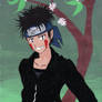 Kiba Inuzuka Shippuden