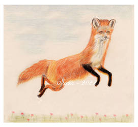 Happy fox