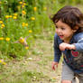 Child Chasing After A Little Yellow Bird