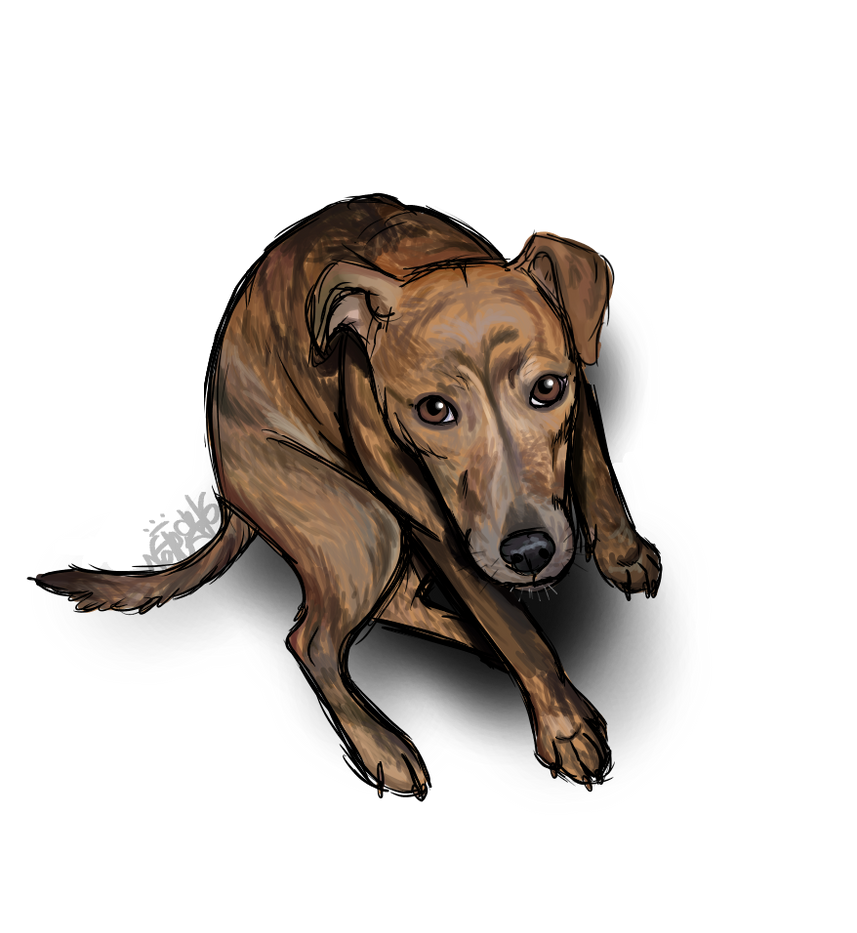 Wuffer Little Wuffer Pupper by NoteS28 on DeviantArt