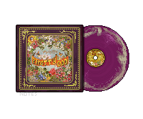 {F2U} Panic! At The Disco - Pretty Odd vinyl