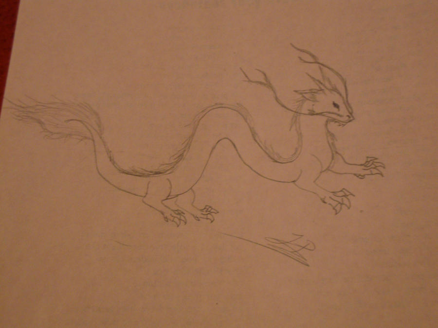 dragon doodle