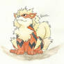 Kanto no. 059 Arcanine