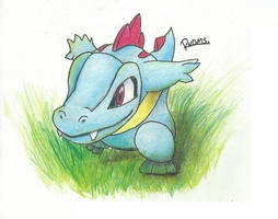 Totodile!